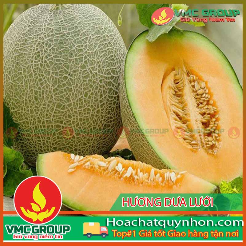 1 Avata hoachatbinhdinhvn